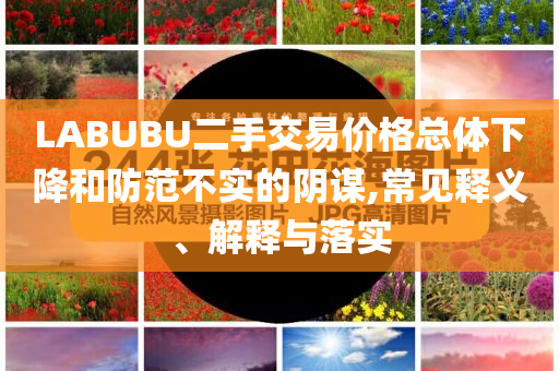 LABUBU二手交易價(jià)格總體下降和防范不實(shí)的陰謀,常見釋義、解釋與落實(shí)