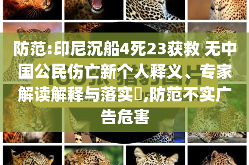 防范:印尼沉船4死23獲救 無中國公民傷亡新個(gè)人釋義、專家解讀解釋與落實(shí)?,防范不實(shí)廣告危害
