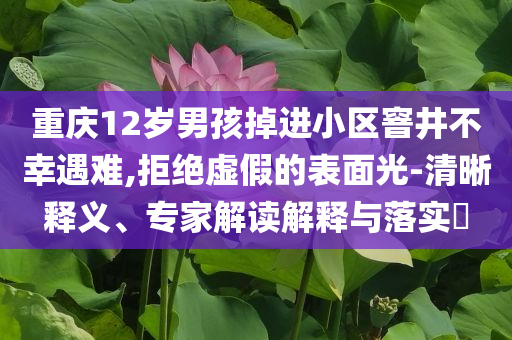 重慶12歲男孩掉進小區(qū)窨井不幸遇難,拒絕虛假的表面光-清晰釋義、專家解讀解釋與落實?