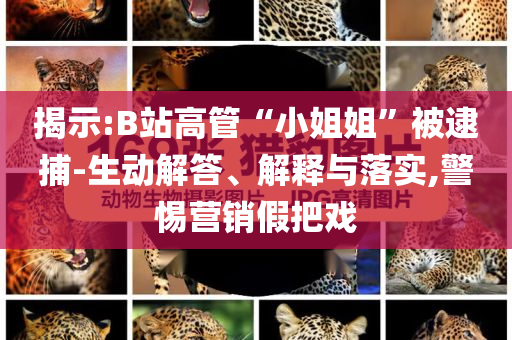 揭示:B站高管“小姐姐”被逮捕-生動解答、解釋與落實,警惕營銷假把戲