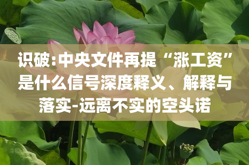 識(shí)破:中央文件再提“漲工資”是什么信號(hào)深度釋義、解釋與落實(shí)-遠(yuǎn)離不實(shí)的空頭諾