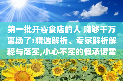 第一批開零食店的人 賺夠千萬(wàn)離場(chǎng)了:精選解析、專家解析解釋與落實(shí),小心不實(shí)的假承諾雷