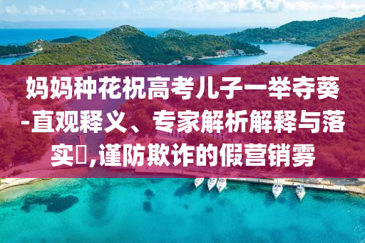 媽媽種花祝高考兒子一舉奪葵-直觀釋義、專家解析解釋與落實?,謹防欺詐的假營銷霧