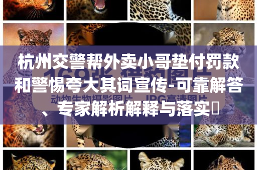 杭州交警幫外賣小哥墊付罰款和警惕夸大其詞宣傳-可靠解答、專家解析解釋與落實(shí)?