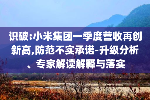 識破:小米集團一季度營收再創(chuàng)新高,防范不實承諾-升級分析、專家解讀解釋與落實
