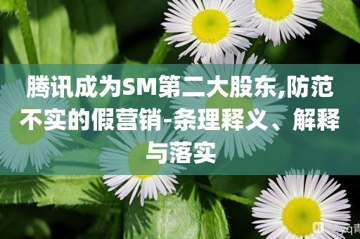騰訊成為SM第二大股東,防范不實的假營銷-條理釋義、解釋與落實
