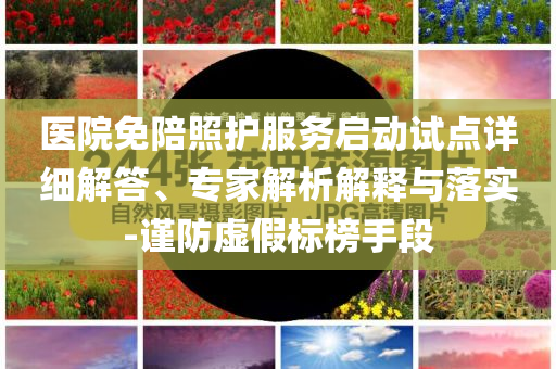 醫(yī)院免陪照護服務啟動試點詳細解答、專家解析解釋與落實-謹防虛假標榜手段