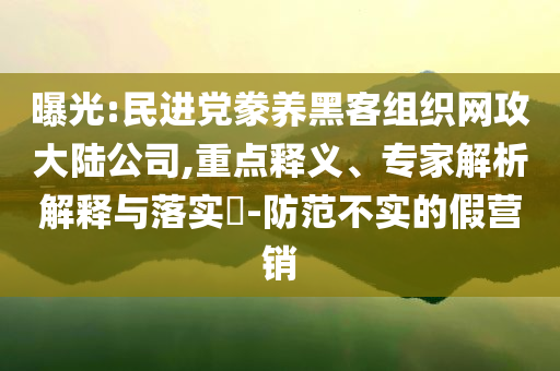 曝光:民進黨豢養(yǎng)黑客組織網(wǎng)攻大陸公司,重點釋義、專家解析解釋與落實?-防范不實的假營銷