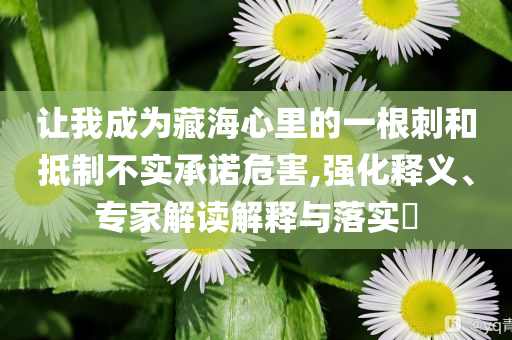 讓我成為藏海心里的一根刺和抵制不實(shí)承諾危害,強(qiáng)化釋義、專家解讀解釋與落實(shí)?
