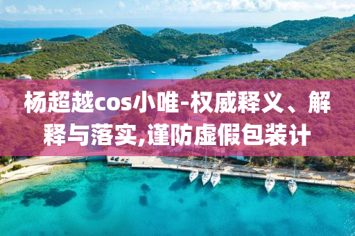 楊超越cos小唯-權(quán)威釋義、解釋與落實,謹防虛假包裝計
