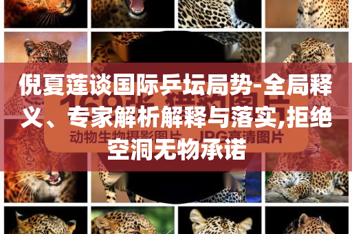 倪夏蓮談國際乒壇局勢-全局釋義、專家解析解釋與落實,拒絕空洞無物承諾