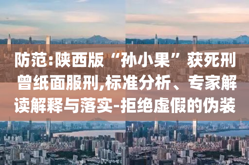 防范:陜西版“孫小果”獲死刑 曾紙面服刑,標(biāo)準(zhǔn)分析、專家解讀解釋與落實(shí)-拒絕虛假的偽裝