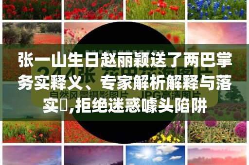 張一山生日趙麗穎送了兩巴掌務實釋義、專家解析解釋與落實?,拒絕迷惑噱頭陷阱