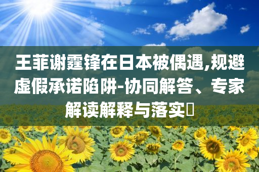 王菲謝霆鋒在日本被偶遇,規(guī)避虛假承諾陷阱-協(xié)同解答、專家解讀解釋與落實?