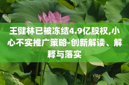 王健林已被凍結4.9億股權,小心不實推廣策略-創(chuàng)新解讀、解釋與落實