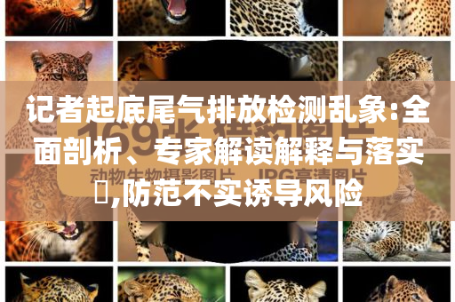 記者起底尾氣排放檢測亂象:全面剖析、專家解讀解釋與落實?,防范不實誘導(dǎo)風險