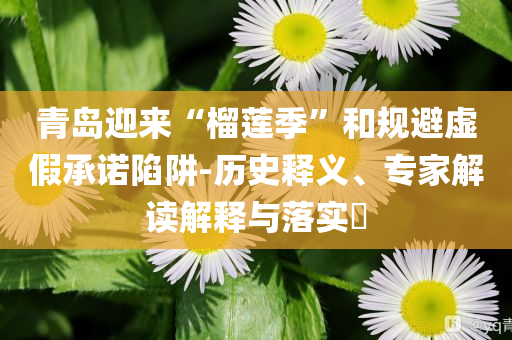 青島迎來“榴蓮季”和規(guī)避虛假承諾陷阱-歷史釋義、專家解讀解釋與落實?
