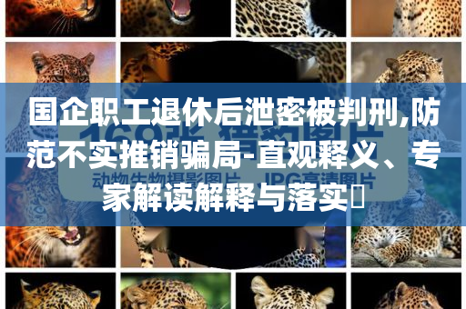 國企職工退休后泄密被判刑,防范不實推銷騙局-直觀釋義、專家解讀解釋與落實?