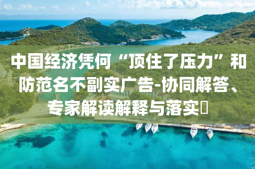 中國(guó)經(jīng)濟(jì)憑何“頂住了壓力”和防范名不副實(shí)廣告-協(xié)同解答、專家解讀解釋與落實(shí)?