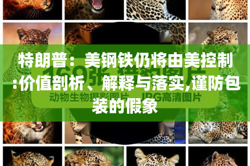 特朗普：美鋼鐵仍將由美控制:價(jià)值剖析、解釋與落實(shí),謹(jǐn)防包裝的假象
