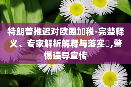 特朗普推遲對(duì)歐盟加稅-完整釋義、專家解析解釋與落實(shí)?,警惕誤導(dǎo)宣傳