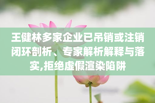 王健林多家企業(yè)已吊銷或注銷閉環(huán)剖析、專家解析解釋與落實(shí),拒絕虛假渲染陷阱