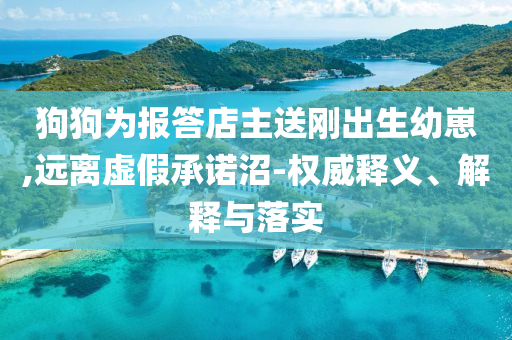 狗狗為報答店主送剛出生幼崽,遠(yuǎn)離虛假承諾沼-權(quán)威釋義、解釋與落實
