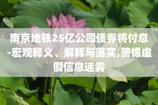 南京地鐵25億公司債券將付息-宏觀釋義、解釋與落實(shí),警惕虛假信息迷霧