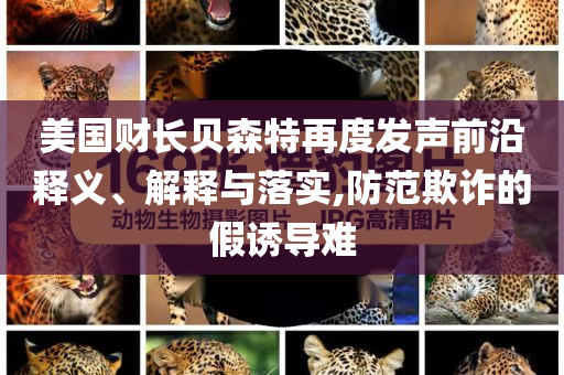 美國財(cái)長貝森特再度發(fā)聲前沿釋義、解釋與落實(shí),防范欺詐的假誘導(dǎo)難
