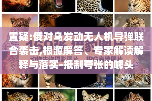 置疑:俄對(duì)烏發(fā)動(dòng)無人機(jī)導(dǎo)彈聯(lián)合襲擊,根源解答、專家解讀解釋與落實(shí)-抵制夸張的噱頭