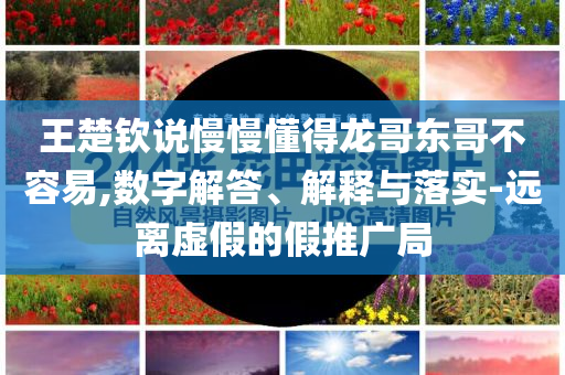 王楚欽說(shuō)慢慢懂得龍哥東哥不容易,數(shù)字解答、解釋與落實(shí)-遠(yuǎn)離虛假的假推廣局