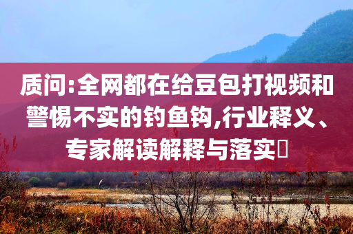 質(zhì)問:全網(wǎng)都在給豆包打視頻和警惕不實(shí)的釣魚鉤,行業(yè)釋義、專家解讀解釋與落實(shí)?