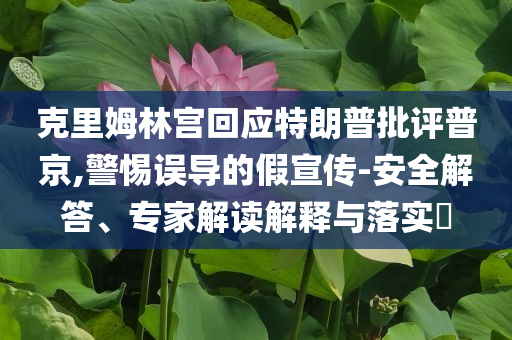 克里姆林宮回應(yīng)特朗普批評(píng)普京,警惕誤導(dǎo)的假宣傳-安全解答、專家解讀解釋與落實(shí)?