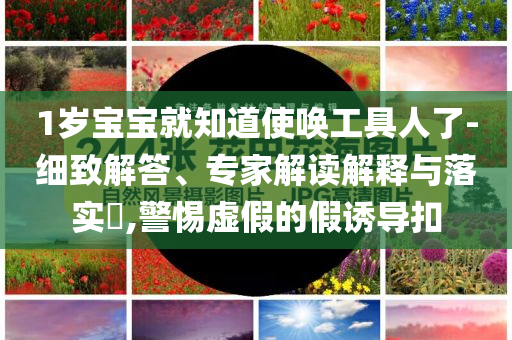 1歲寶寶就知道使喚工具人了-細(xì)致解答、專家解讀解釋與落實(shí)?,警惕虛假的假誘導(dǎo)扣