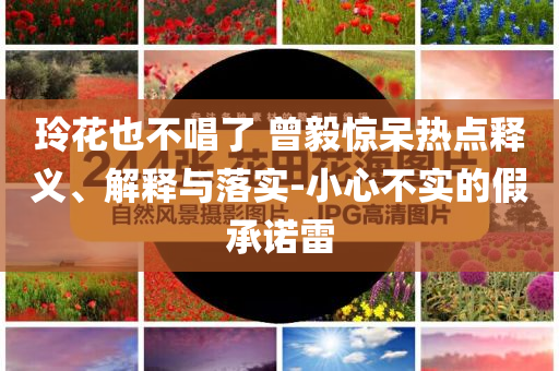 玲花也不唱了 曾毅驚呆熱點(diǎn)釋義、解釋與落實(shí)-小心不實(shí)的假承諾雷