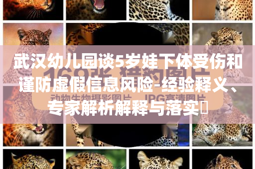 武漢幼兒園談5歲娃下體受傷和謹(jǐn)防虛假信息風(fēng)險(xiǎn)-經(jīng)驗(yàn)釋義、專家解析解釋與落實(shí)?