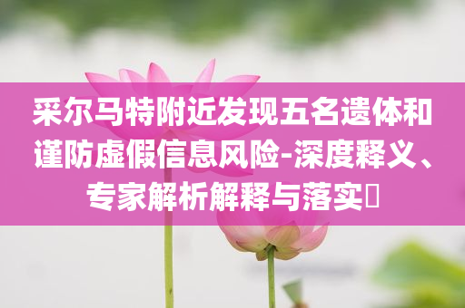 采爾馬特附近發(fā)現(xiàn)五名遺體和謹(jǐn)防虛假信息風(fēng)險(xiǎn)-深度釋義、專家解析解釋與落實(shí)?