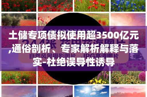 土儲(chǔ)專項(xiàng)債擬使用超3500億元,通俗剖析、專家解析解釋與落實(shí)-杜絕誤導(dǎo)性誘導(dǎo)