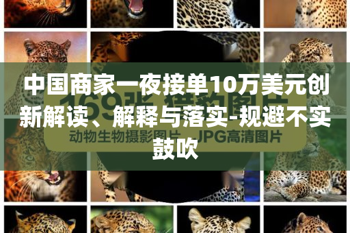 中國商家一夜接單10萬美元?jiǎng)?chuàng)新解讀、解釋與落實(shí)-規(guī)避不實(shí)鼓吹