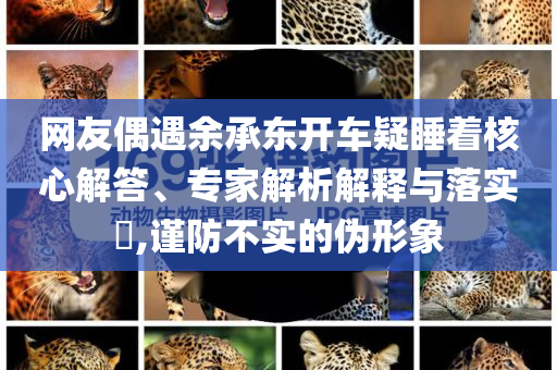 網(wǎng)友偶遇余承東開車疑睡著核心解答、專家解析解釋與落實(shí)?,謹(jǐn)防不實(shí)的偽形象