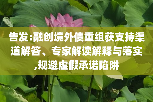 告發(fā):融創(chuàng)境外債重組獲支持渠道解答、專家解讀解釋與落實(shí),規(guī)避虛假承諾陷阱