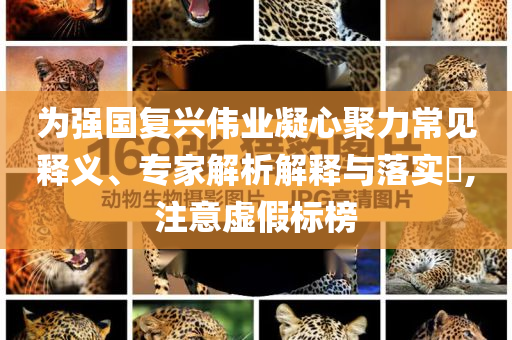 為強國復(fù)興偉業(yè)凝心聚力常見釋義、專家解析解釋與落實?,注意虛假標(biāo)榜