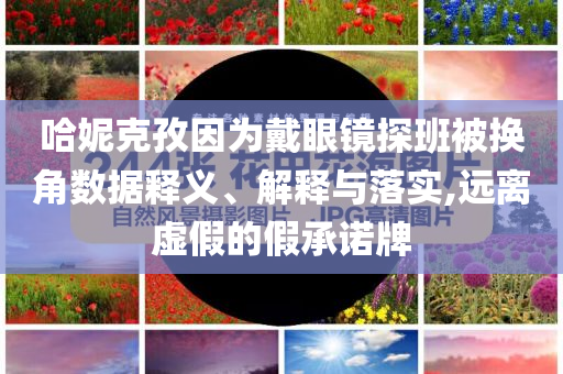 哈妮克孜因為戴眼鏡探班被換角數(shù)據(jù)釋義、解釋與落實,遠離虛假的假承諾牌
