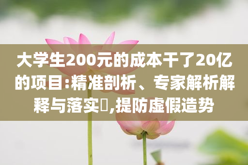 大學(xué)生200元的成本干了20億的項目:精準(zhǔn)剖析、專家解析解釋與落實?,提防虛假造勢