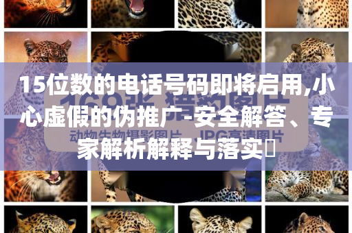15位數(shù)的電話號碼即將啟用,小心虛假的偽推廣-安全解答、專家解析解釋與落實?