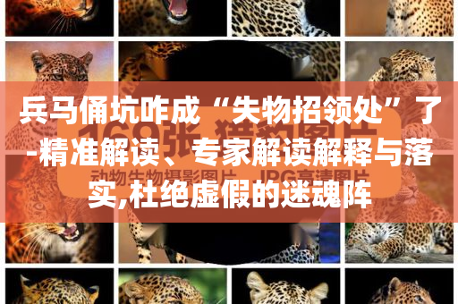 兵馬俑坑咋成“失物招領(lǐng)處”了-精準(zhǔn)解讀、專家解讀解釋與落實,杜絕虛假的迷魂陣