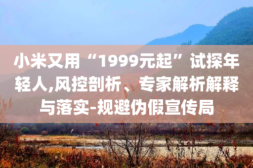 小米又用“1999元起”試探年輕人,風(fēng)控剖析、專家解析解釋與落實(shí)-規(guī)避偽假宣傳局
