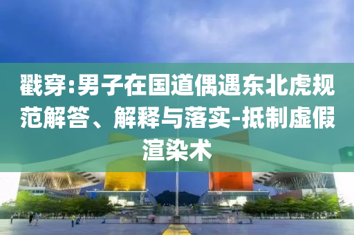 戳穿:男子在國道偶遇東北虎規(guī)范解答、解釋與落實(shí)-抵制虛假渲染術(shù)