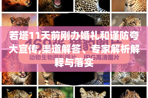 若塔11天前剛辦婚禮和謹(jǐn)防夸大宣傳,渠道解答、專家解析解釋與落實(shí)