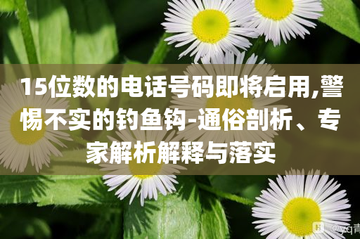 15位數(shù)的電話號碼即將啟用,警惕不實的釣魚鉤-通俗剖析、專家解析解釋與落實